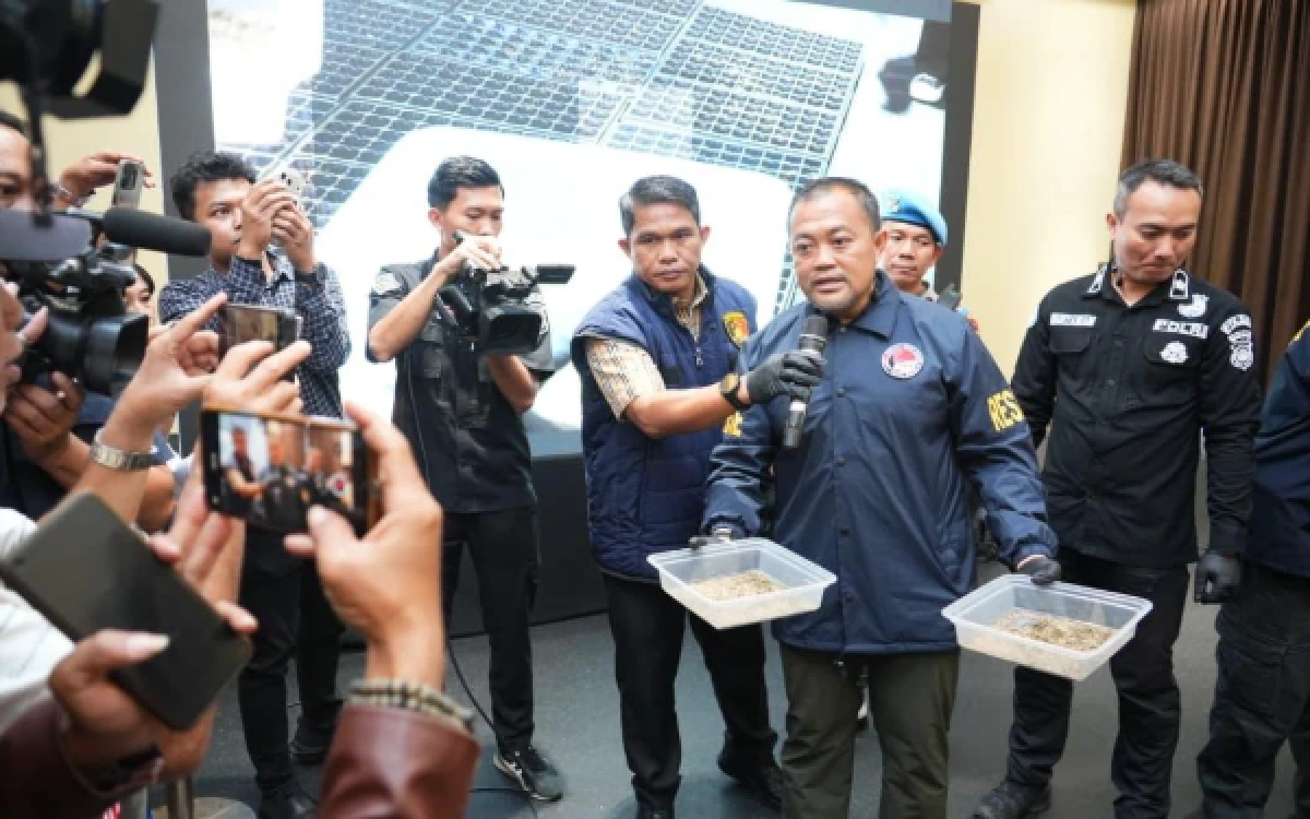 Foto Direktur Reserse Narkoba Kombes Pol Yulian Perdana saat menunjukkan barang bukti biji Ganja siap semai saat ungkap kasus di Mapolda Sumsel, Kamis 30 April 2026. (Foto : Yola/Ketik.com)