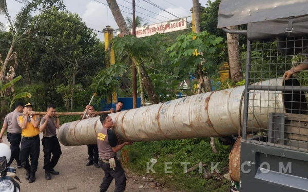 Foto Long pemdem jumbo yang disita jajaran Polsek Kebonagung akan diangkut dengan mobil petugas. (Foto: Polsek for Ketik.com)