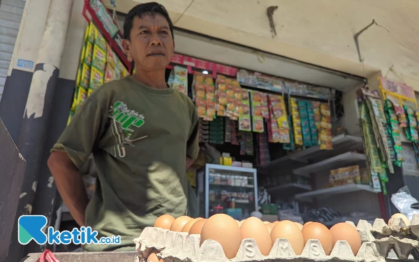 Harga Telur di Pacitan Melejit, Pedagang Menjerit