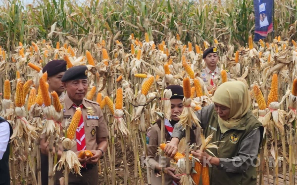 Thumbnail Berita - Khofifah Puji HM Arum Sabil: Kwarda Jatim Konsisten Jalankan Pramuka Produktif