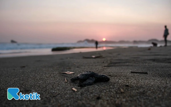 Thumbnail Berita - Gak Perlu Filter! 5 Pantai di Malang Ini Punya Golden Hour Paling 'Mahal' buat Feed Akhir Tahun