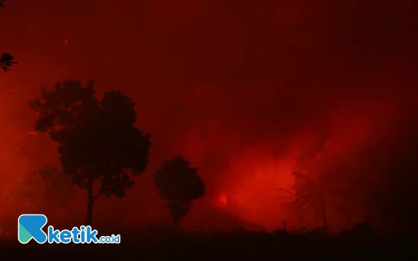 Thumbnail Kebakaran lahan mengganggu kenyamanan pengguna jalan Tol Indralaya - Palembang KM 07 Kabupaten Ogan Ilir, Sumsel. (Foto: Wahyu R/Ketik.co.id)