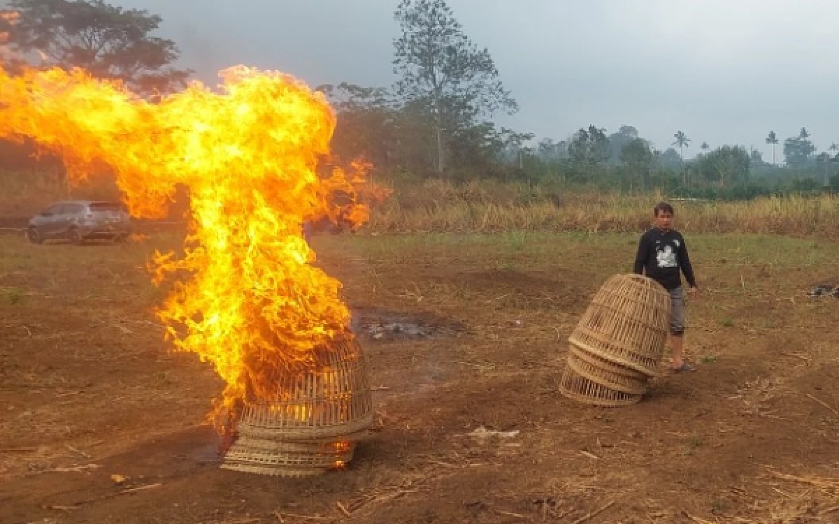 Thumbnail Berita - Cegah Sabung Ayam Kembali Digelar, Polisi Musnahkan Sarananya