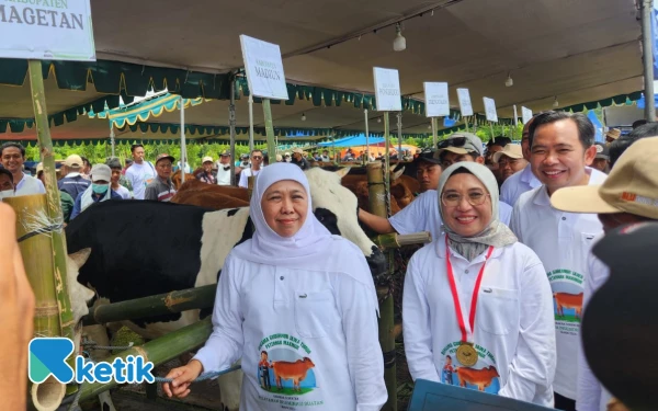 Thumbnail Berita - Keren! Jatim Jadi Provinsi Hasil Inseminasi Buatan Terbanyak di Indonesia, Capai 1.099.397 Ekor Ternak