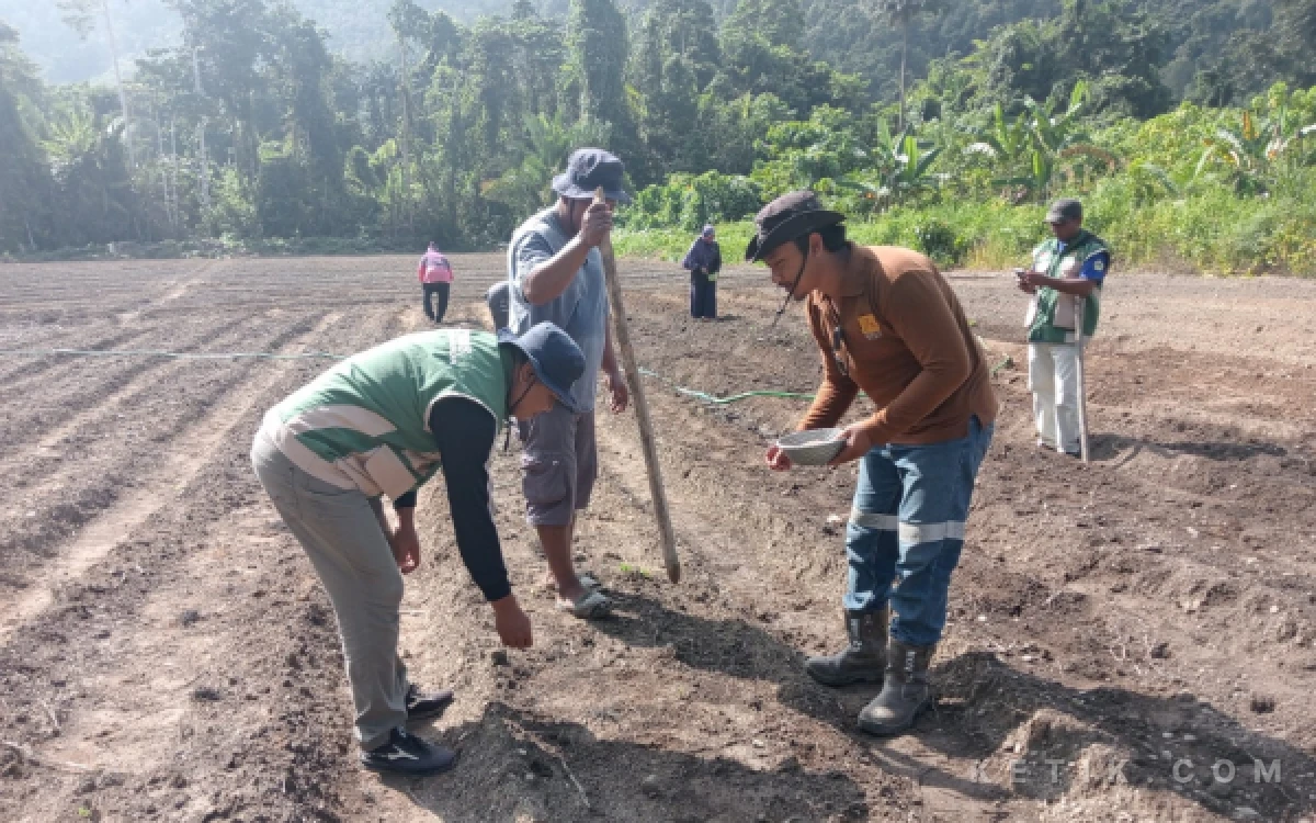 Thumbnail Berita - Bareng Harita Nickel, Petani Baru Jaya Tanam Kedelai di Obi