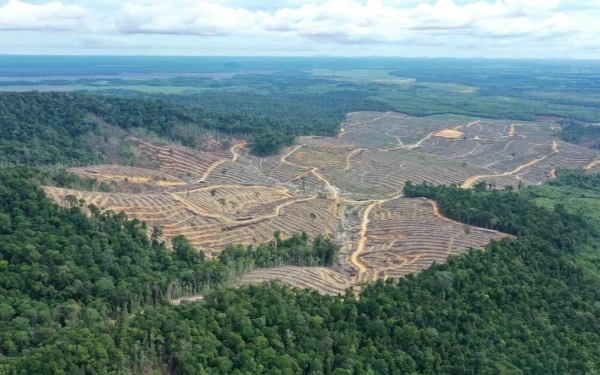 Thumbnail Berita - Pakar UGM Dorong Moratorium Tambang dan Perkebunan Usai Banjir Bandang di Sumatera