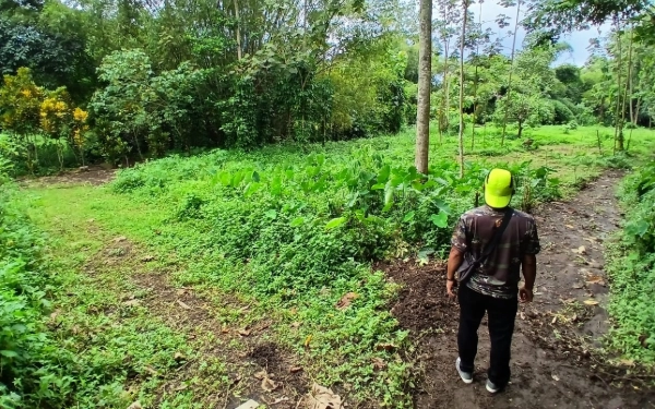 Foto Arema Tempat Pemakaman Umum (TPU) De Cassablanca Residence. (Foto: Aziz Mahrizal/ketik.com)