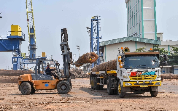 Thumbnail Seorang pekerja dengan APD lengkap melakukan bongkar muat kayu log (gelondong) di Pelabuhan Dalam Subholding PT Pelindo Multi Terminal (SPMT) Branch Tanjung Emas Semarang, Rabu (22/5/2024). (Foto: Achmad Fazeri/Ketik.co.id)