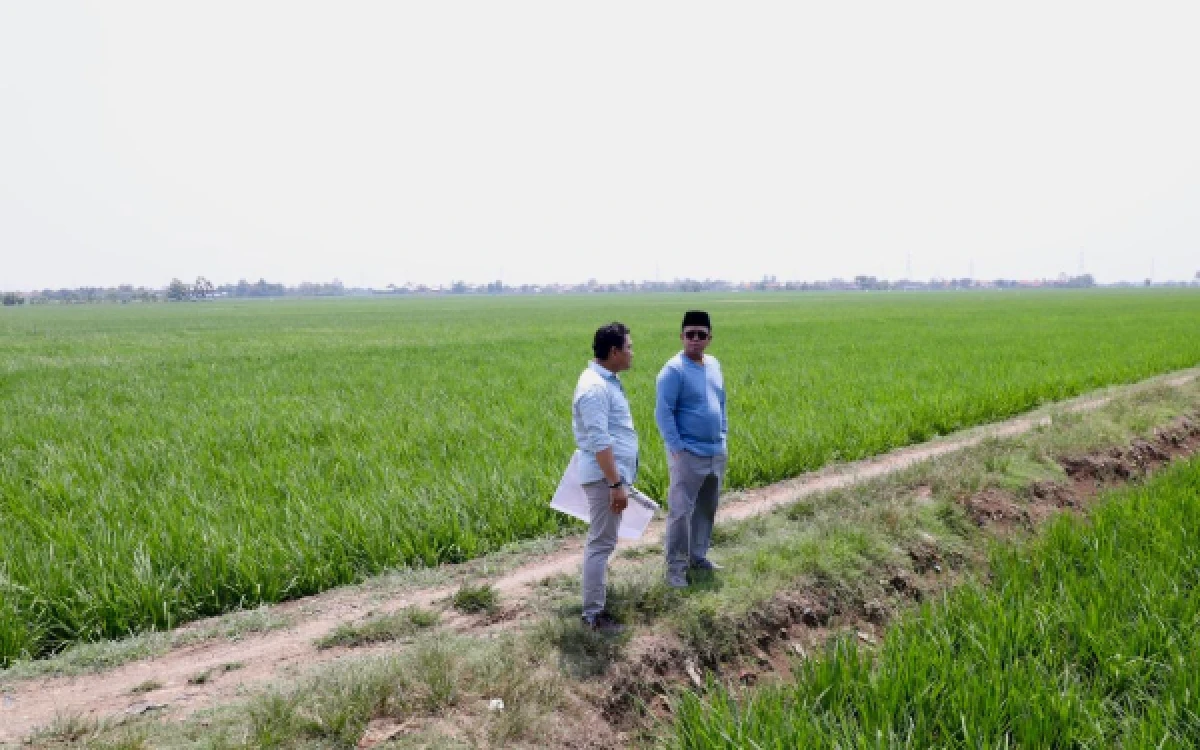 Thumbnail Berita - Tinjau Kawasan Industri di Indramayu, Menteri Nusron Pastikan Lahan Tidak Masuk ke LSD