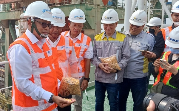 Thumbnail Berita - Bulog Impor Perdana 20.000 Ton Jagung dari Argentina, untuk Stabilisasi Harga Pakan Ternak