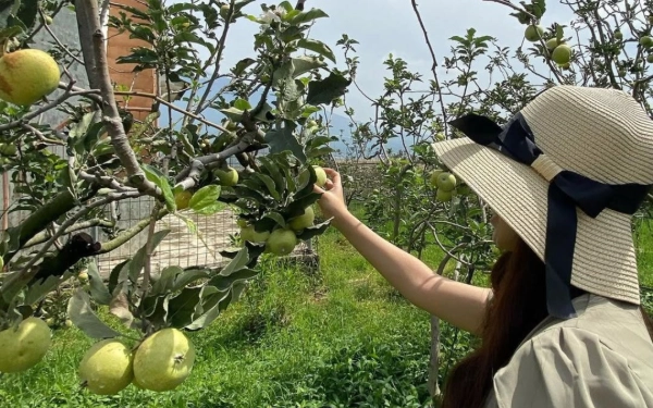 Thumbnail Berita - Wajib Kunjung! 3 Agrowisata Petik Apel Terbaik di Kota Batu, Paling Manis dan Harganya Gak Bikin Kantong Jebol