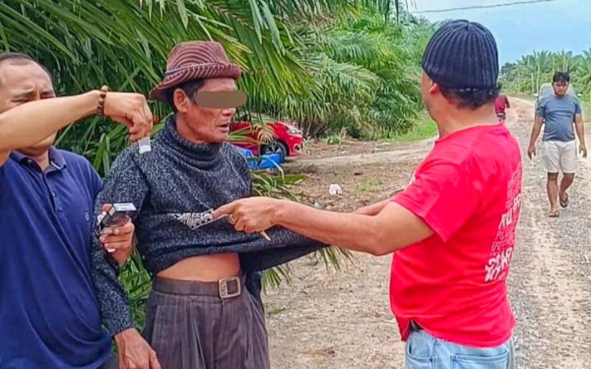 Thumbnail Berita - Kakek Pembuat Resah Disergap Satres Narkoba Labuhanbatu di Kebun Sawit