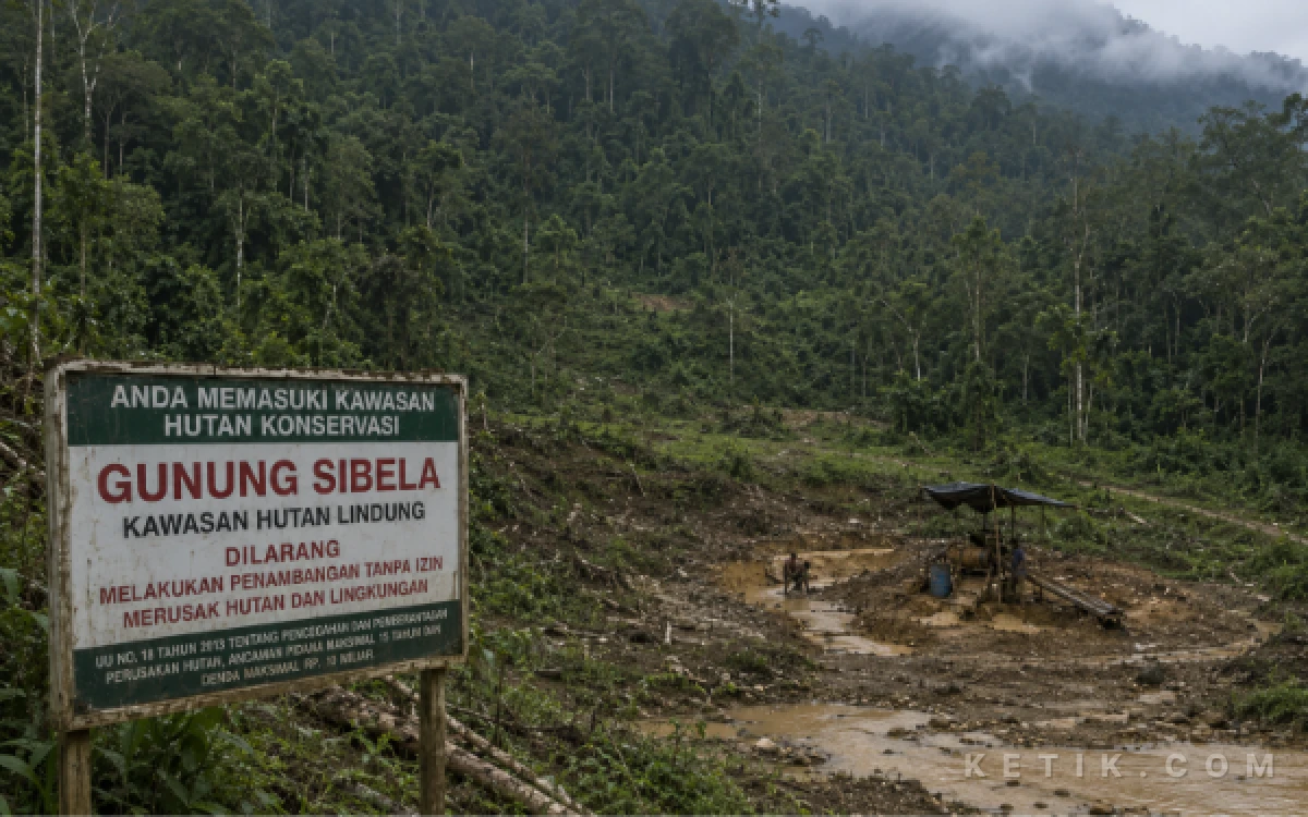 Thumbnail Berita - BKSDA Ungkap Tambang Ilegal Kubung Halmahera Selatan Beroperasi Belasan Tahun di Cagar Alam