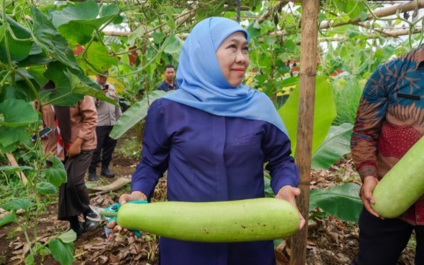 Thumbnail Berita - Khofifah Kagum! SMAN 1 Dampit Malang Siap Jadi Percontohan Ketahanan Pangan Berbasis Sekolah
