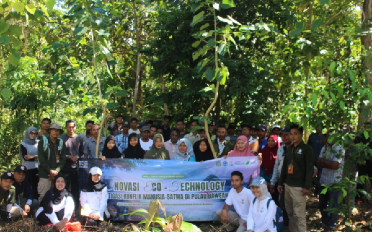Thumbnail Berita - Strategi Agroforestri Porang Diterapkan untuk Redam Konflik Manusia dan Babi Kutil Bawean