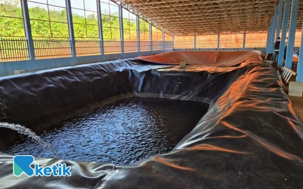 Thumbnail Berita - Warga Kawasi Tepis Gimik WALHI Maluku Utara