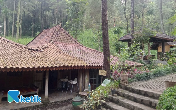 Thumbnail Berita - Kedai Hutan Cempaka Pasuruan, Menikmati Sejuknya Alam dan Kulineran Syahdu di Rumah Joglo