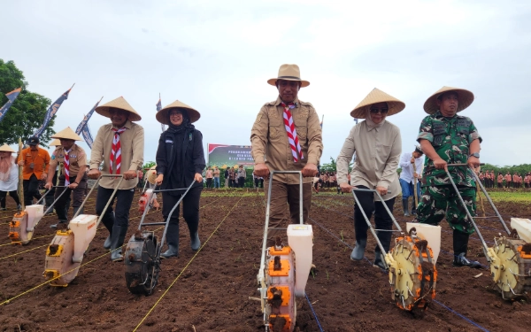 Thumbnail Berita - Ketika Kader Pramuka Menanam Jagung Serentak di Green Farm Banyuwangi