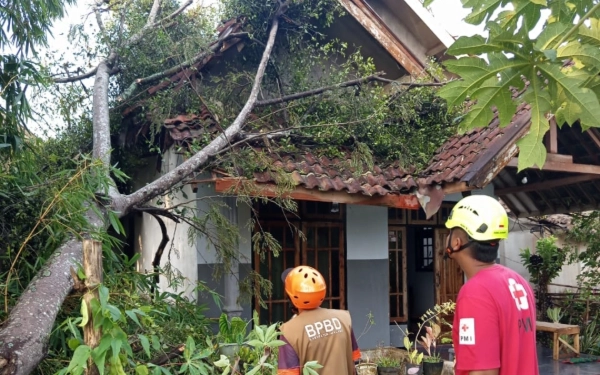 Thumbnail Berita - Hujan Disertai Angin Kencang Terjang Kabupaten Malang, Puluhan Rumah Rusak