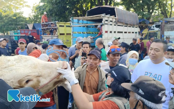 Pantau Harga, Bupati Situbondo Blusukan ke Pasar Hewan Sabtoan