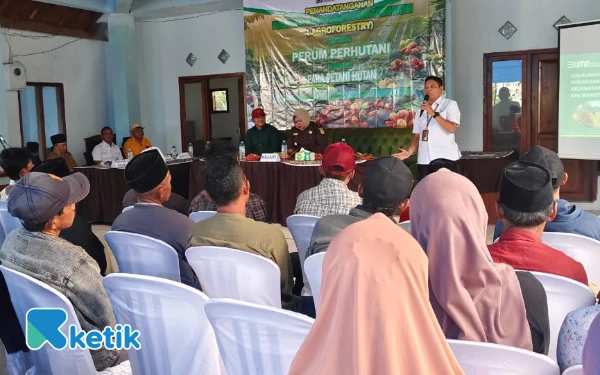 Thumbnail Berita - Perhutani Bondowoso Teken PKS Pengelolaan Lahan dengan Petani Kopi LMDH Rengganis Situbondo