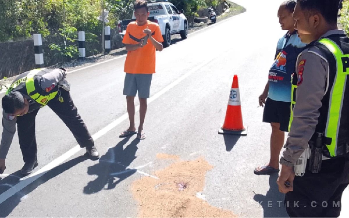 Thumbnail Berita - Maut di Jalur Sedeng Pacitan-Pringkuku, Pengendara Supra Tewas usai Seruduk Scoopy