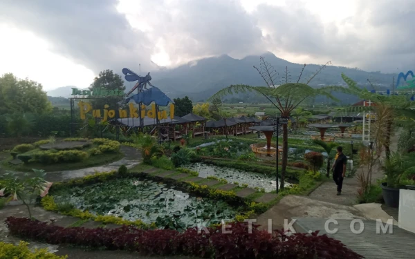 Thumbnail Berita - Cafe Sawah Pujon Kidul, Destinasi Kuliner dengan Panorama Persawahan Asri dan Sejuk Pegunungan