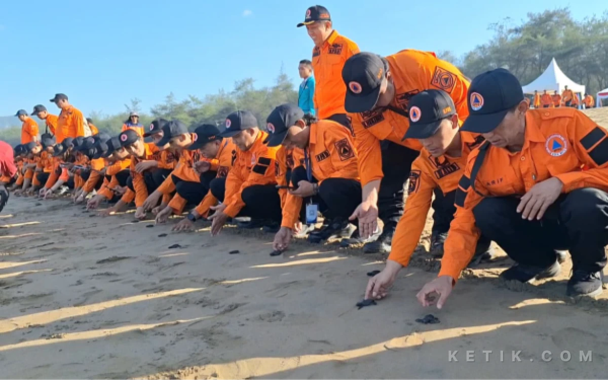 Foto Pelepasan Tukik.