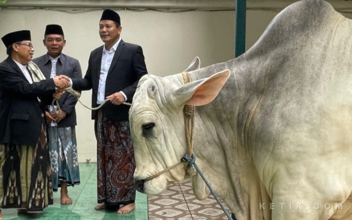 Thumbnail Berita - Selamat Idul Adha, Bupati Subandi Pastikan Sapi dari Presiden Prabowo untuk Warga Kecamatan Jabon