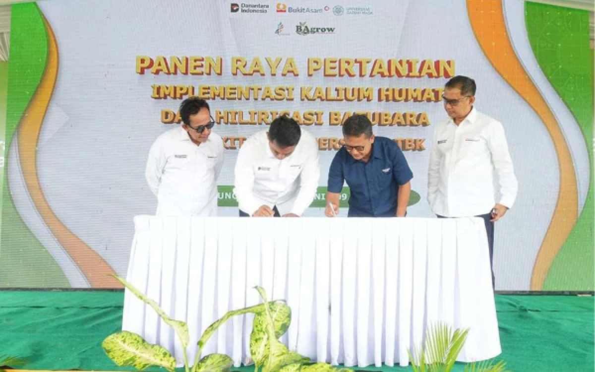 Thumbnail Berita - PTBA Berhasil Ubah Batubara Jadi Pupuk, Hasil Panen Petani Muara Enim Naik 30 Persen
