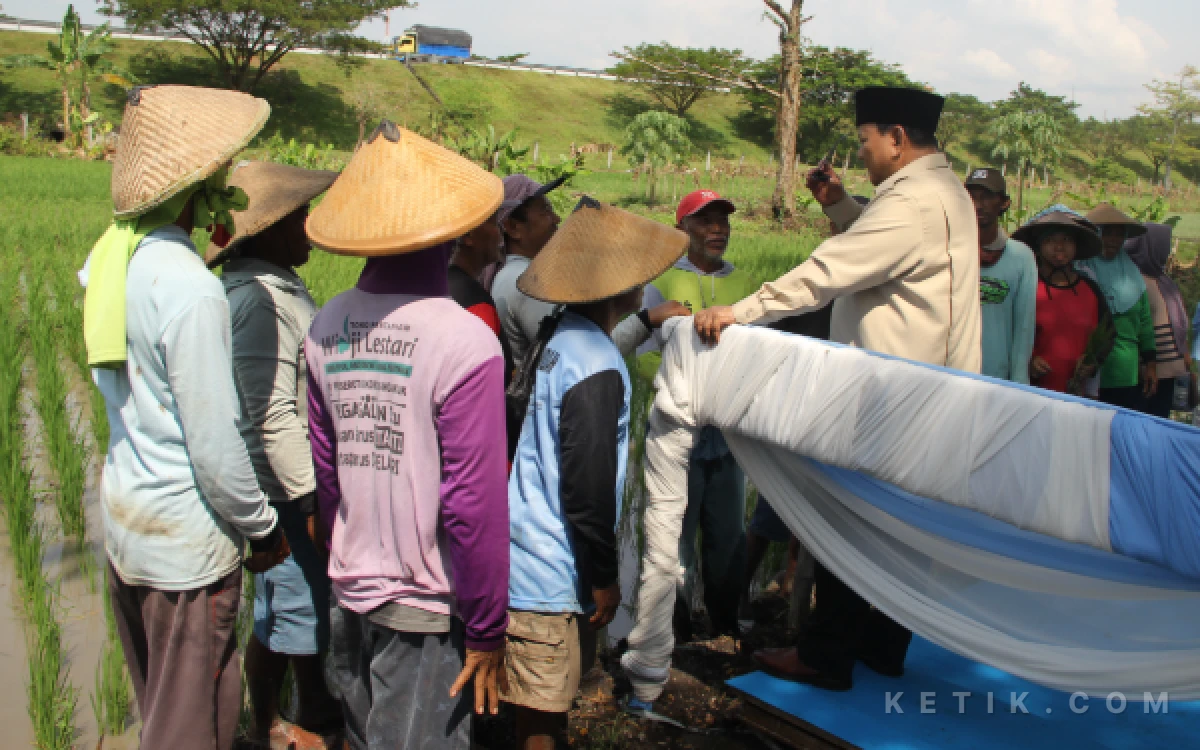 Foto Hartoyo dkk petani Nganjuk saat diajak ngobrol Presiden Prabowo Subianto di Desa Nglundo, Nganjuk, 16 Mei 2026. (Foto: Rahmat Rifadin/Ketik.com)