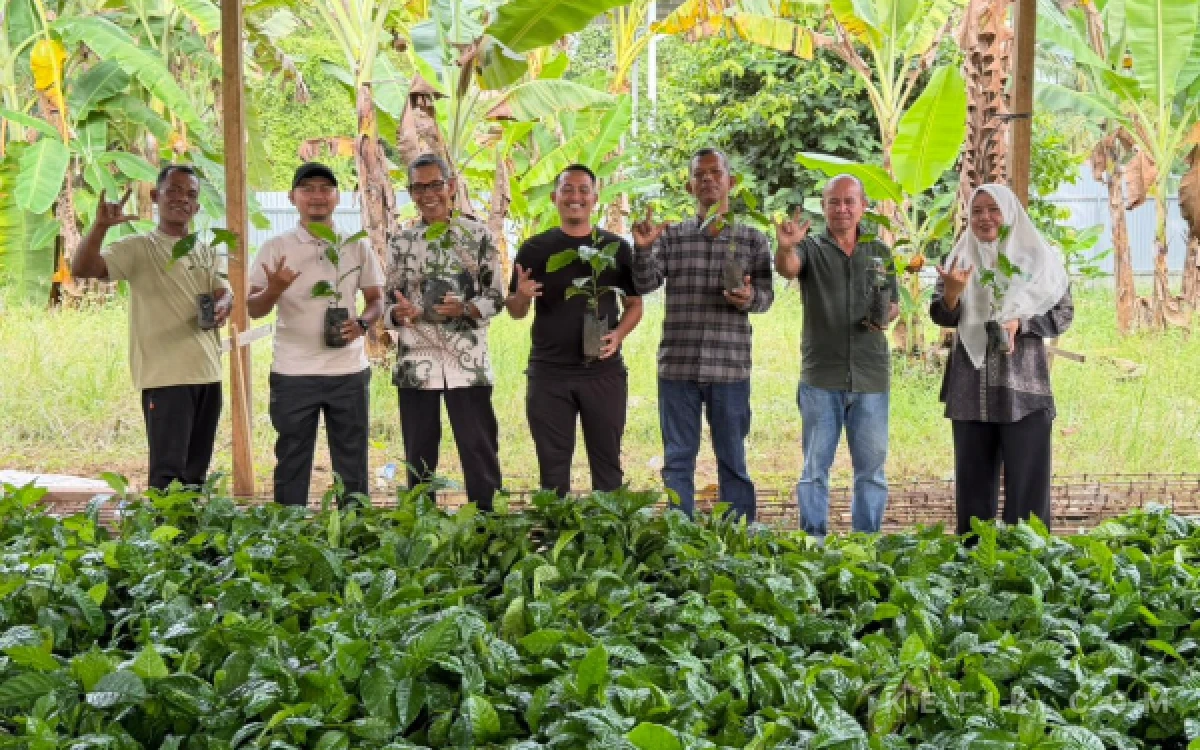 Thumbnail Berita - Genjot Ekonomi, Jamaluddin Idham Salurkan Bantuan Bibit Kopi untuk Petani Abdya