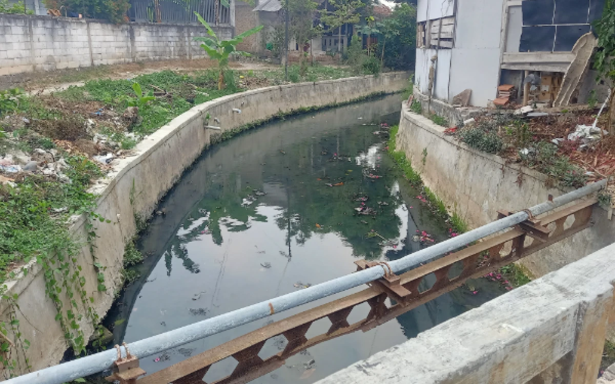 Thumbnail Berita - Ikan Sapu-Sapu Marak di Perairan Lebak, Dinas Perikanan Ungkap Dampak dan Cara Pemanfaatannya