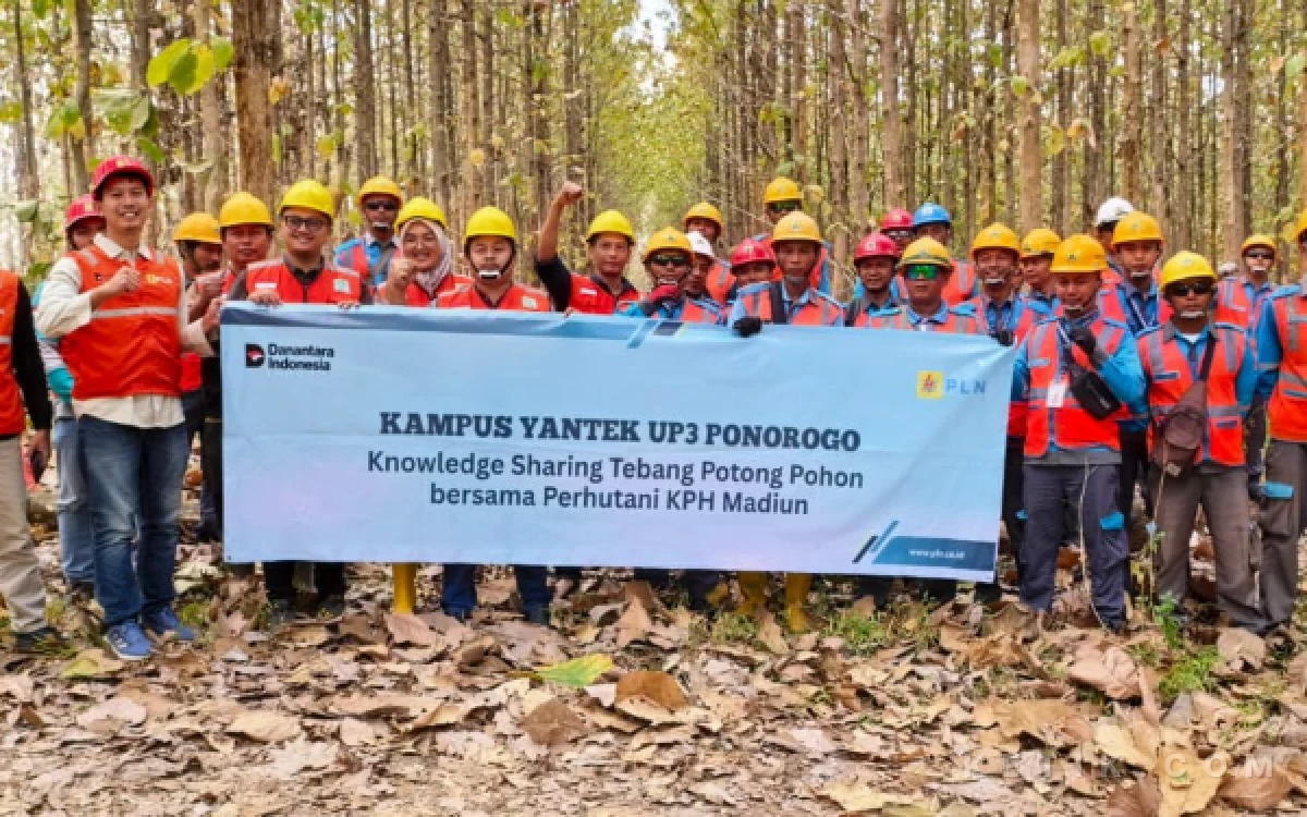 Foto Puluhan personel Tim Yantek PLN UP3 Ponorogo mengikuti kegiatan Kampus Yantek Tebang Potong Pohon di BKPH Pulung, Ponorogo, sebagai upaya meningkatkan kompetensi dan menjaga keandalan jaringan listrik. (Foto: PLN for Ketik)