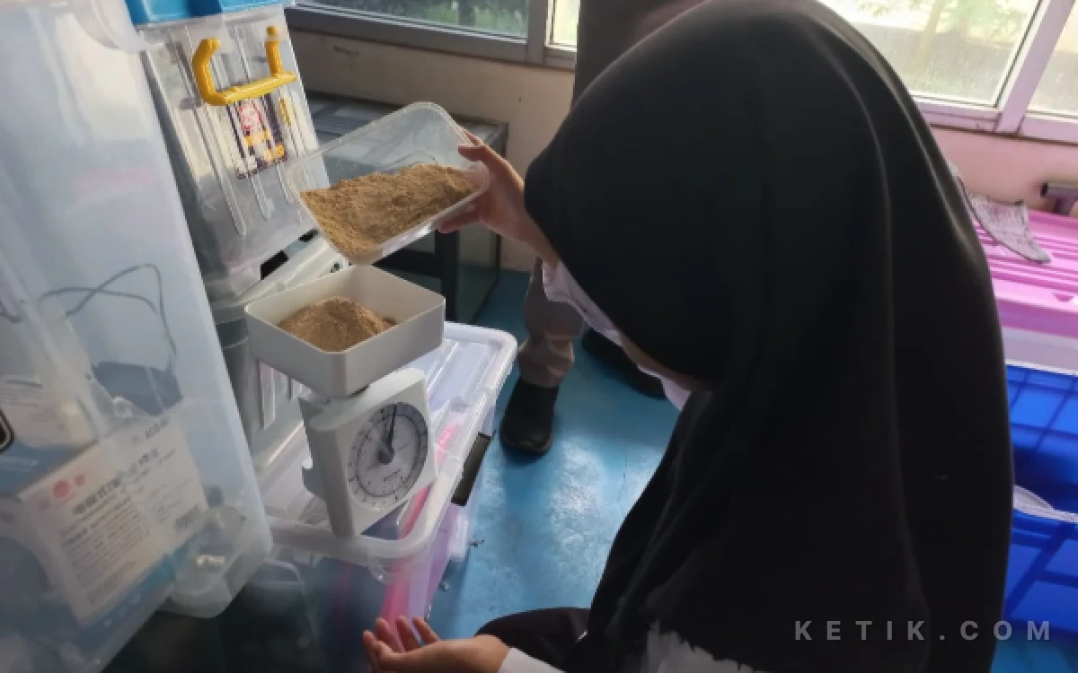 Thumbnail Berita - Mahasiswi PSDKU Universitas Brawijaya Kediri Inovatif!