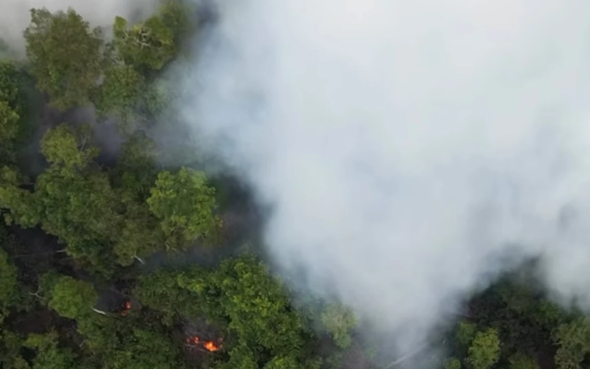 Thumbnail Berita - Karhutla Tanjung Puting Kalteng Meluas, 513 Hektare Lebih Masih Terbakar