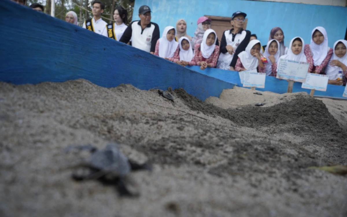 Foto Peserta mengikuti kelas alam yang membahas ekosistem pesisir, siklus hidup penyu, hingga pentingnya menjaga keseimbangan alam. (Foto: Humas Unikama)
