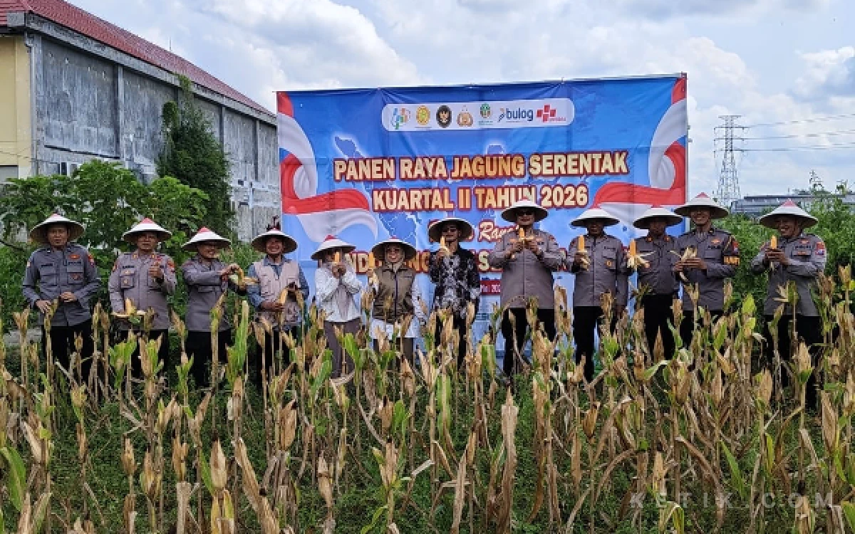 Thumbnail Berita - Polres Blitar Ikuti Panen Raya Jagung Serentak, Dukung Swasembada dan Ketahanan Pangan Nasional