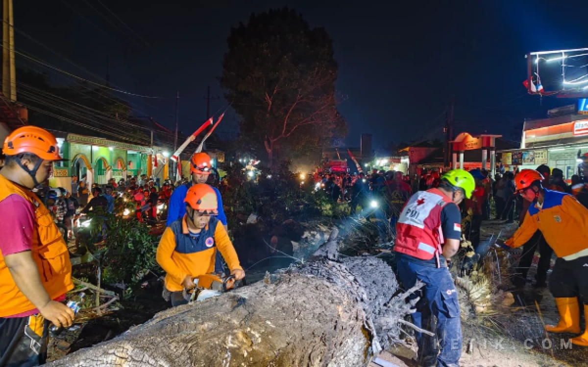 Thumbnail Berita - Pohon Dibakar Tumbang di Pakisaji Kabupaten Malang Timpa Pengguna Jalan, 8 Orang Terluka