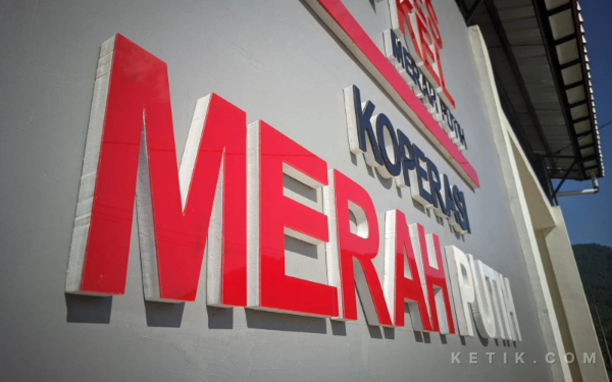 Thumbnail Berita - Setengah Juta Pelamar Manajer Kopdes Tercatat Lolos Administrasi, 4.171 Orang Gugur