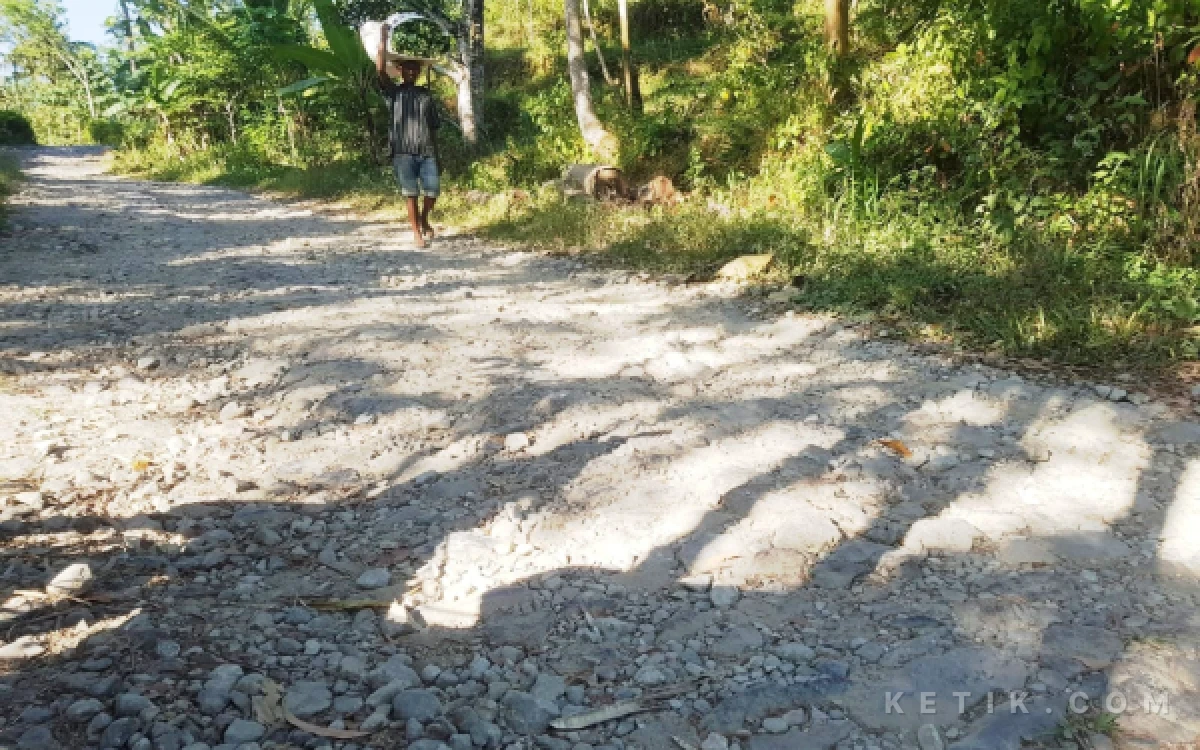 Foto Warga melintasi ruas jalan kabupaten di Desa Punjung, Kecamatan Kebonagung, Pacitan, yang dipenuhi batu akibat aspal mengelupas. Kondisi tersebut membuat jalan lebih menyerupai sungai kering daripada akses transportasi.