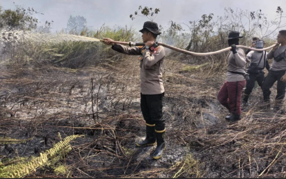 Thumbnail Berita - Polri Tetapkan 113 Orang Tersangka Pelaku Karhutla, Masih Berpotensi Terus Bertambah