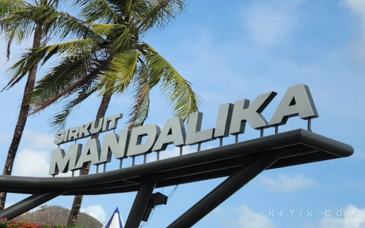 Foto Pemandangan pohon kelapa di kawasan Sirkuit Mandalika (Foto: Fiqih Arfani/Ketik.com)
