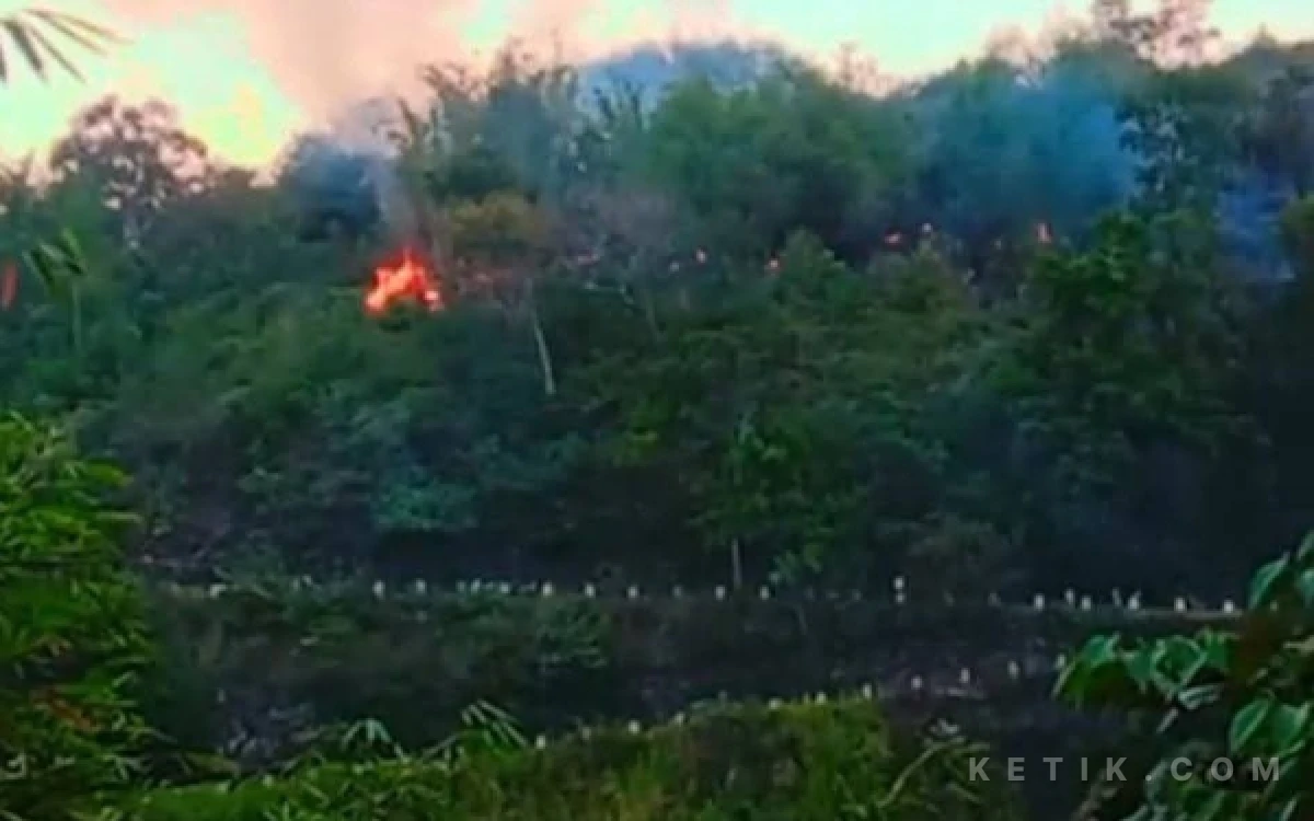Thumbnail Berita - Kebakaran Hutan di Liku Endikat Kota Pagar Alam, Sejumlah Pengendara Sempat Hentikan Kendaraan
