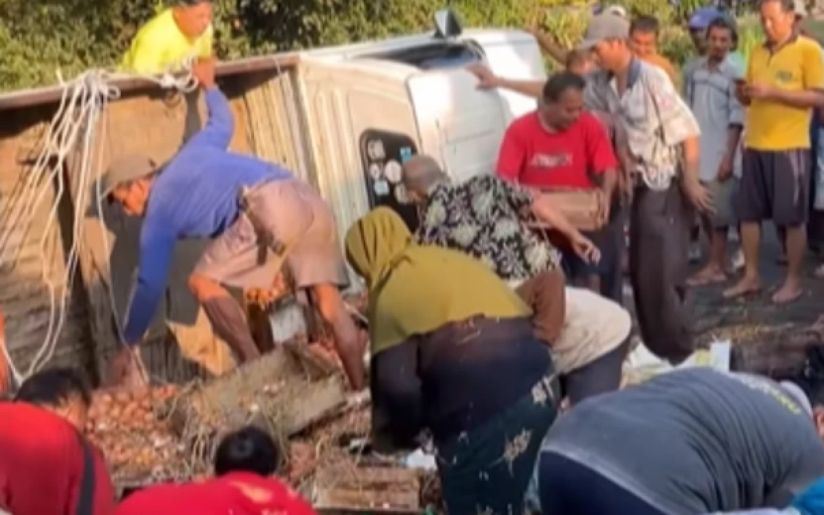 Thumbnail Berita - Sopir Masih Terjebak di Kabin, Pikap Muatan 1,3 Ton Telur di Purbalingga Malah Dijarah Warga