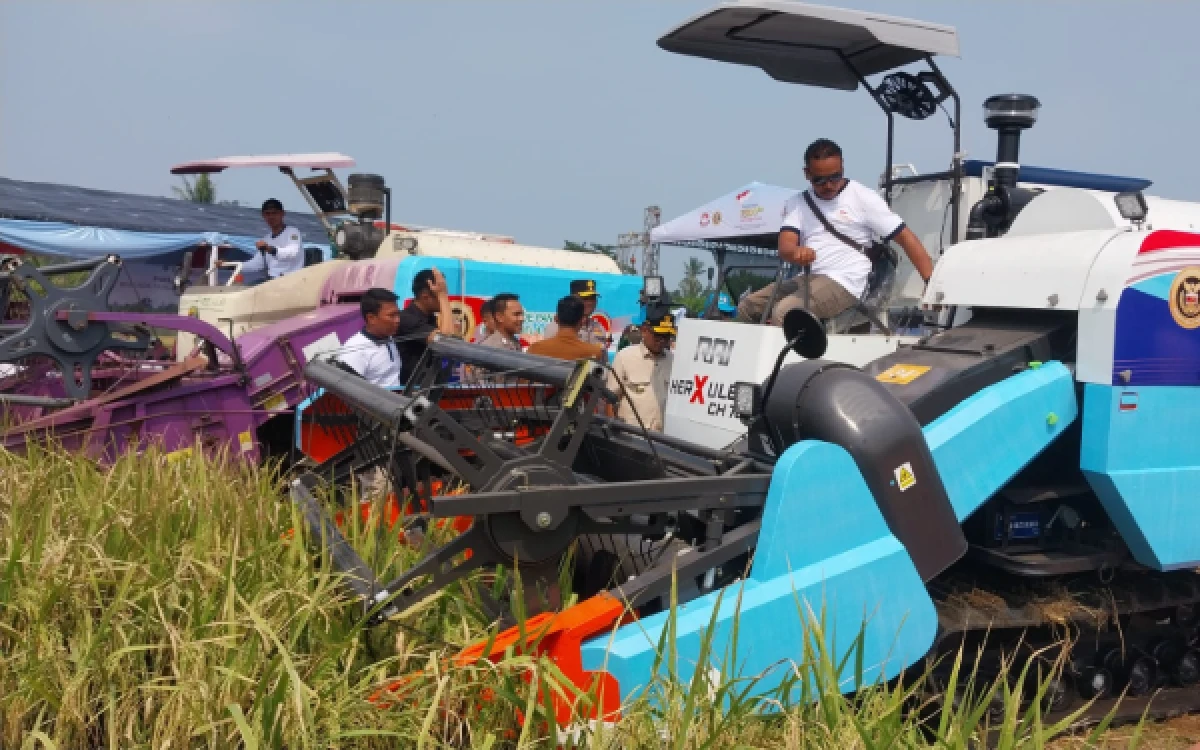 Thumbnail Berita - Pemkab Lebak Hadiri Panen Raya Padi Organik PS-08 di Pandeglang, Tegaskan Dukungan terhadap Swasembada Pangan Nasional