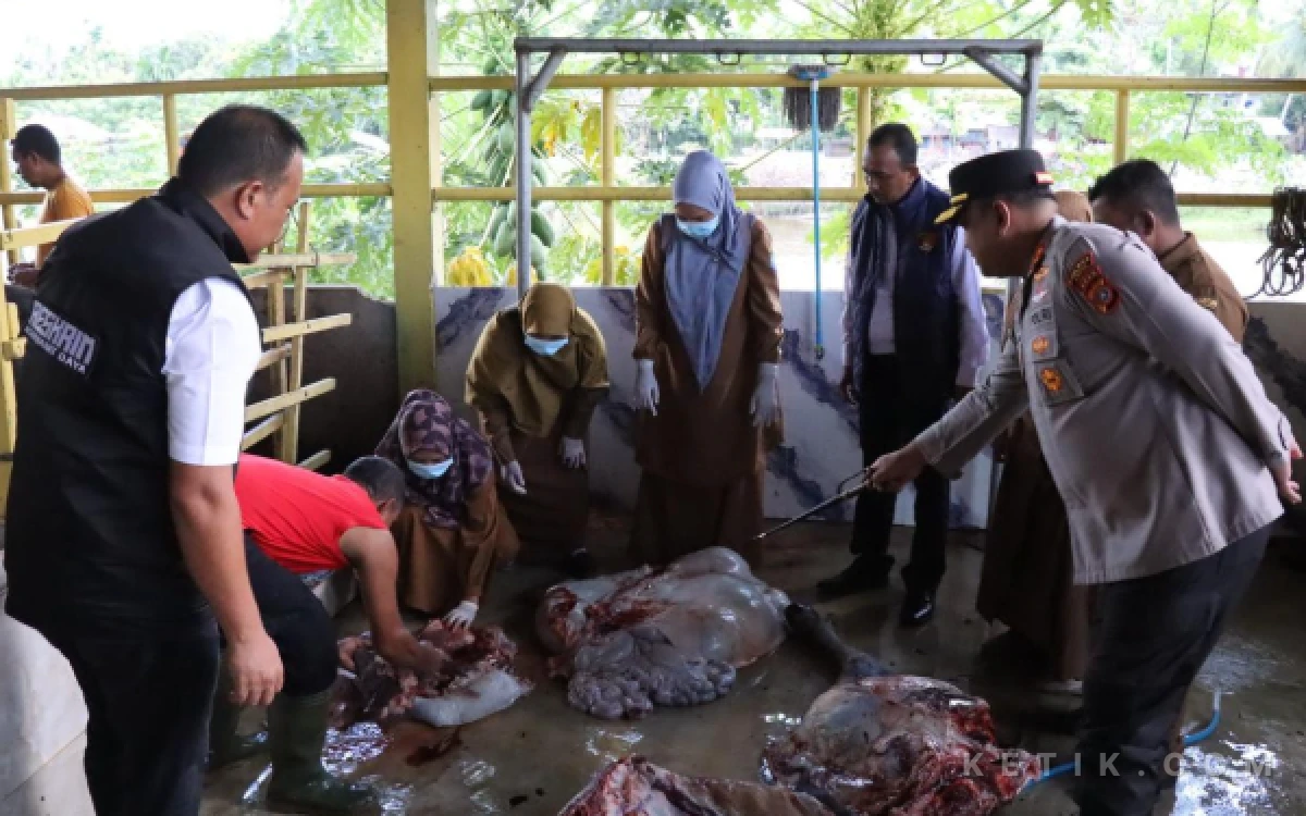 Thumbnail Berita - Kapolres Abdya Cek Pasar Daging Meugang, Stok Aman Harga Rp200 Ribu per Kilogram