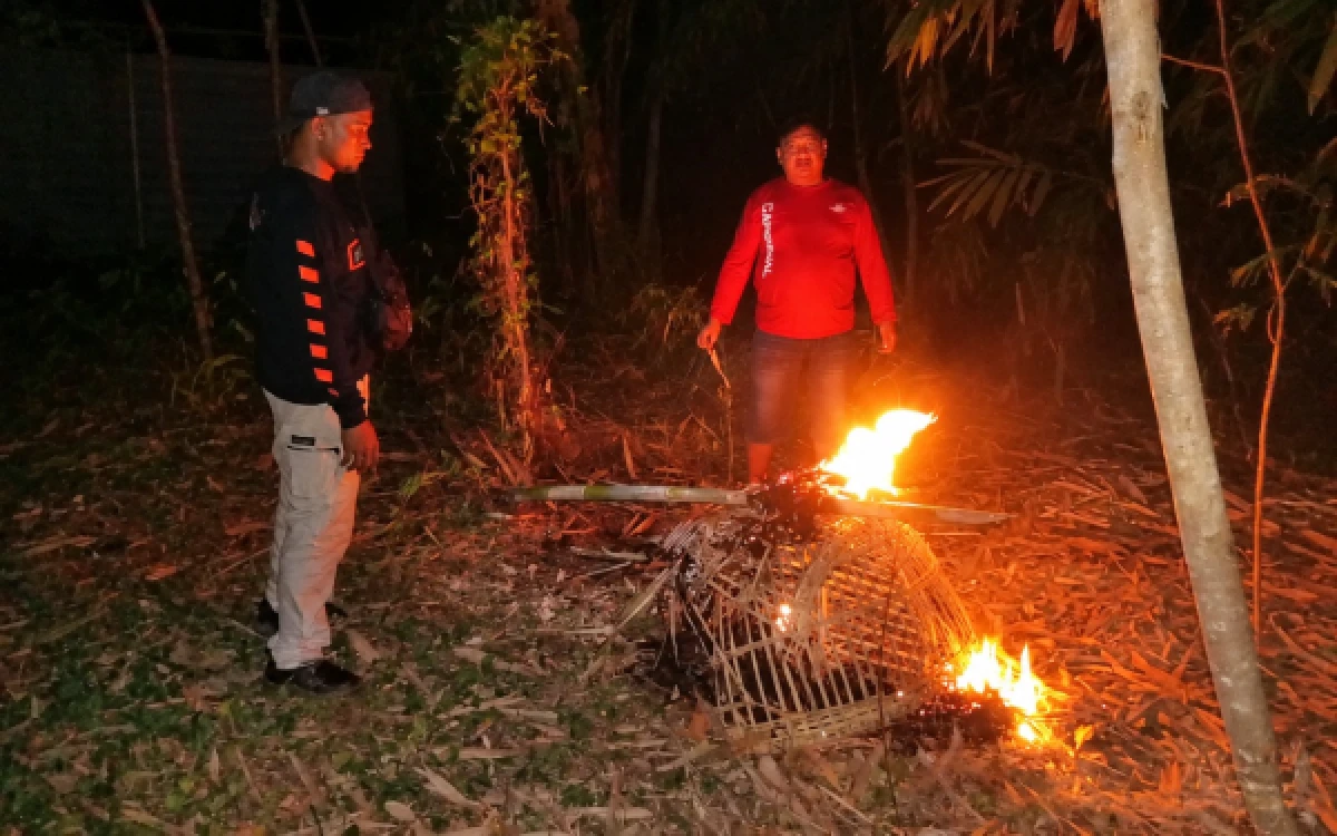 Thumbnail Berita - Tak Temukan Pelaku, Polisi Tetap Musnahkan Sarana Judi Sabung Ayam di Pakisaji