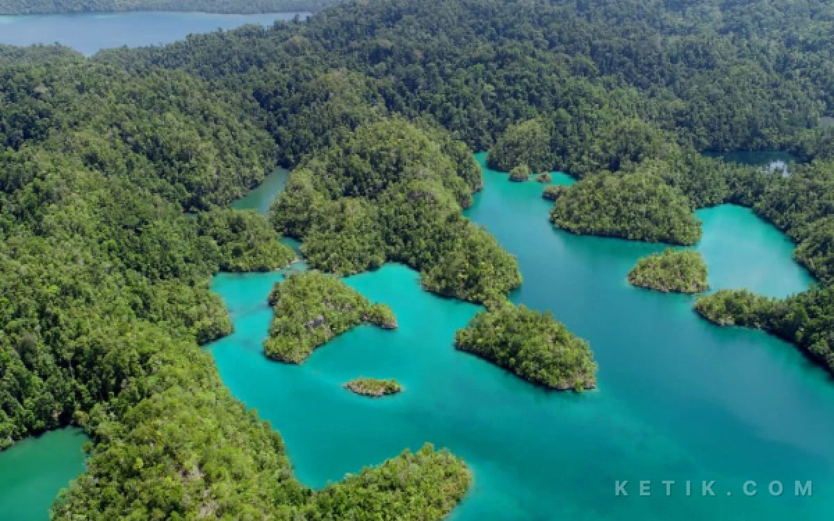 Thumbnail Berita - Kabupaten Halmahera Selatan