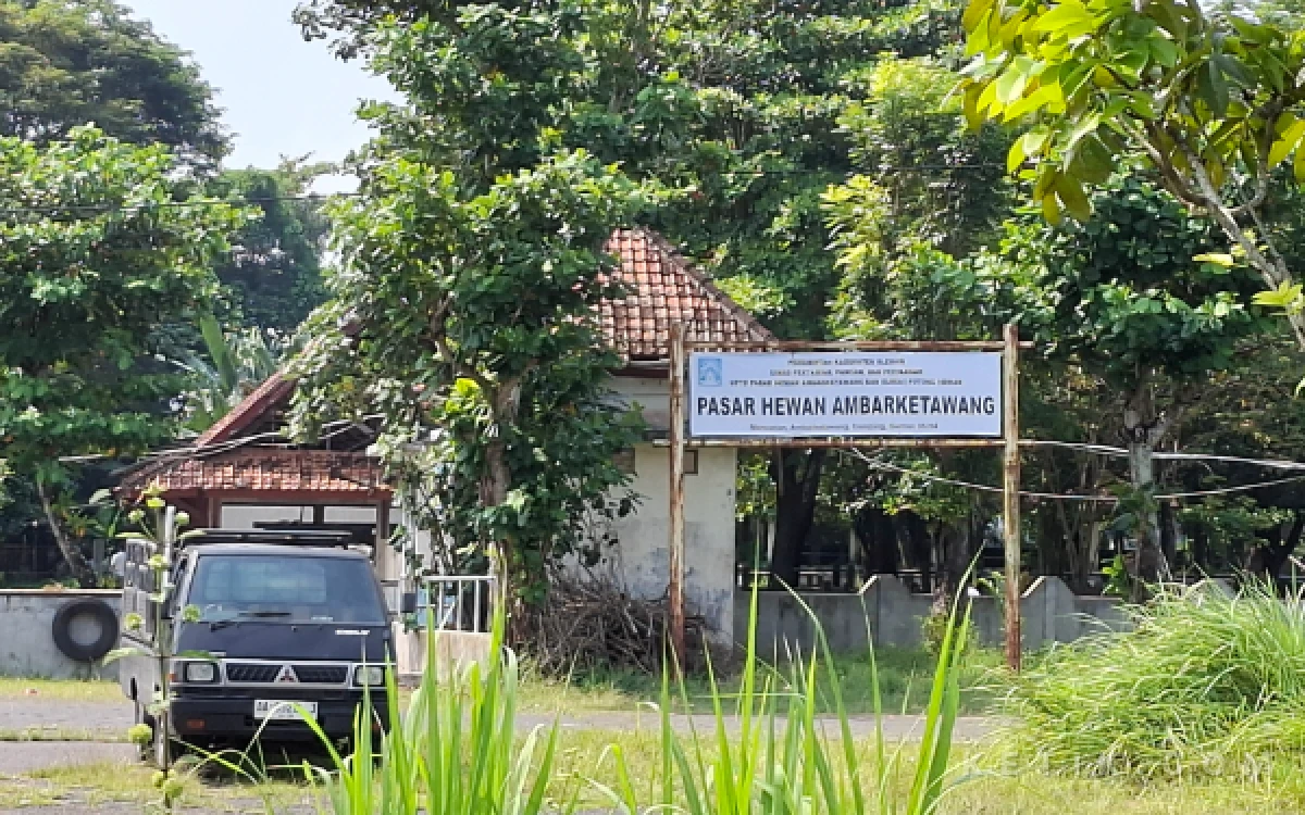 Foto Pasar Hewan Ambarketawang di Gamping, Sleman, yang menjadi salah satu titik utama pemantauan ketersediaan dan kesehatan hewan kurban oleh Pemkab Sleman menjelang Iduladha 2026. (Foto: Fajar R/Ketik.com)